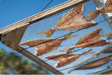 天日干しした魚の干物